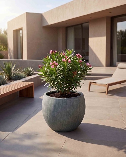 Bowl | Antique Stone Collection | Copper Green