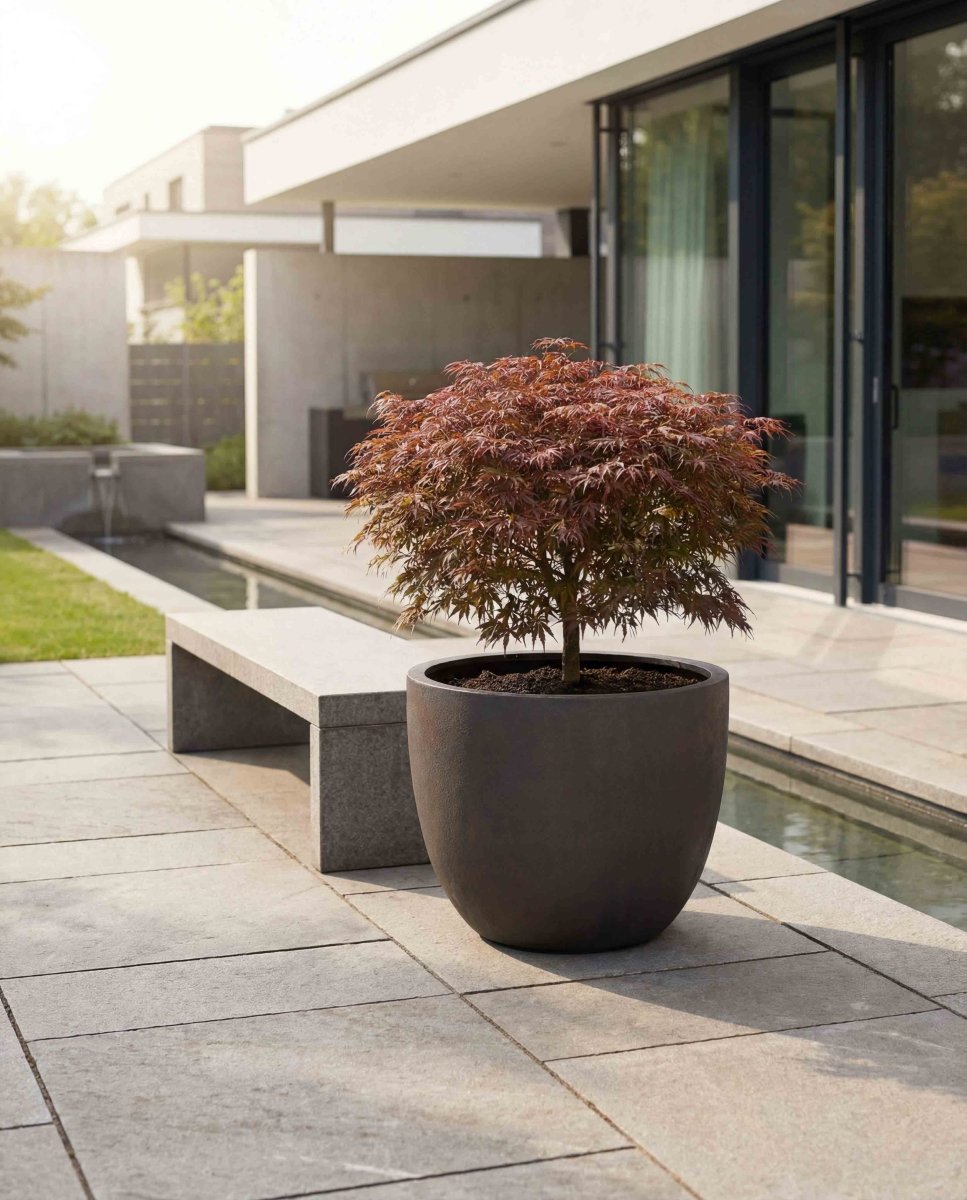 New Egg Pot | Antique Stone Collection | Bronze