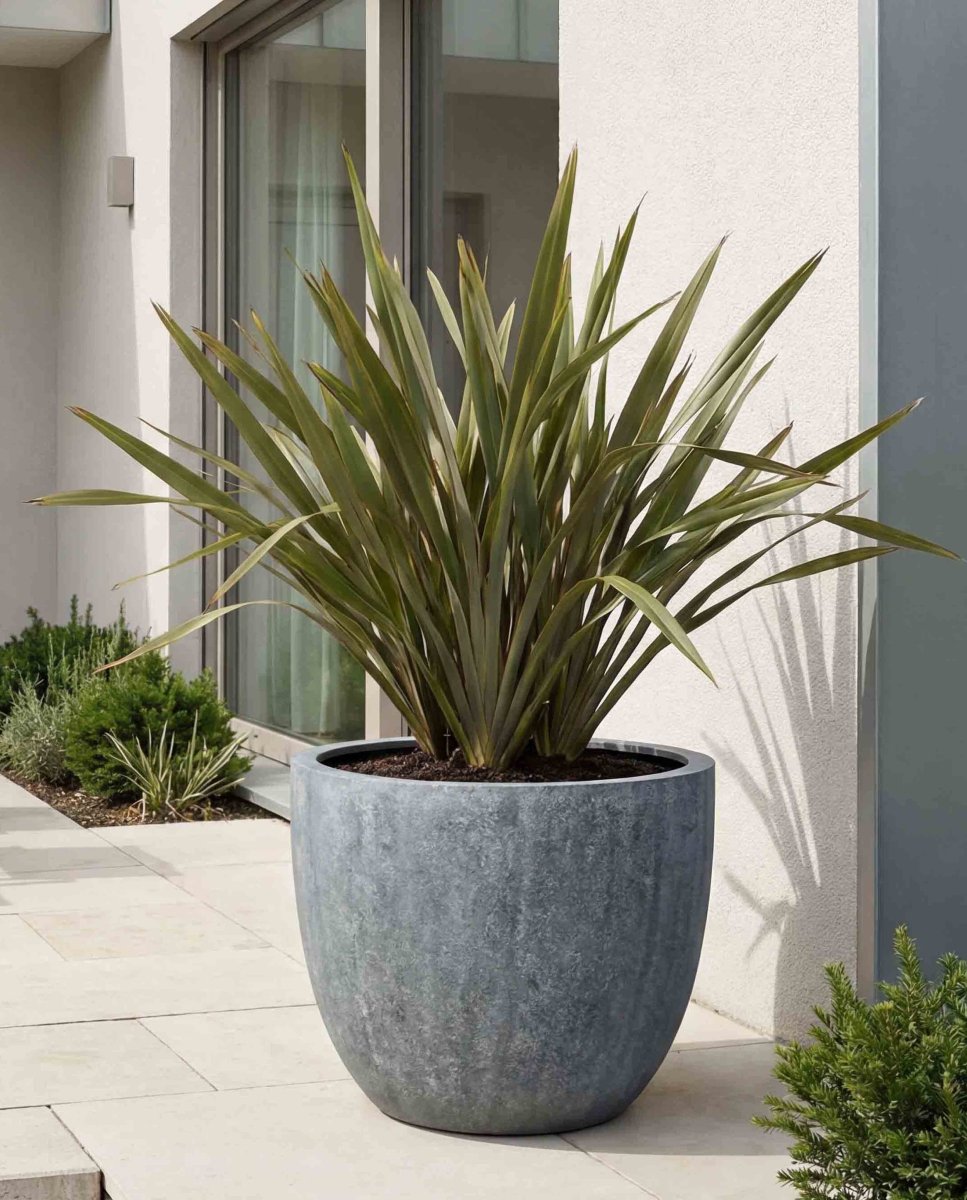 New Egg Pot | Antique Stone Collection | Copper Green