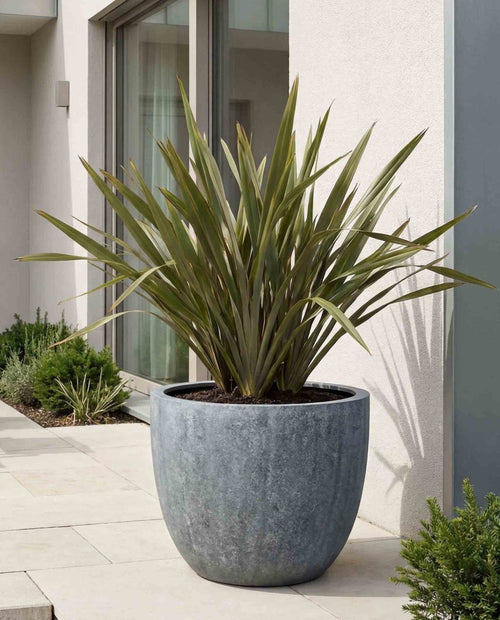 New Egg Pot | Antique Stone Collection | Copper Green