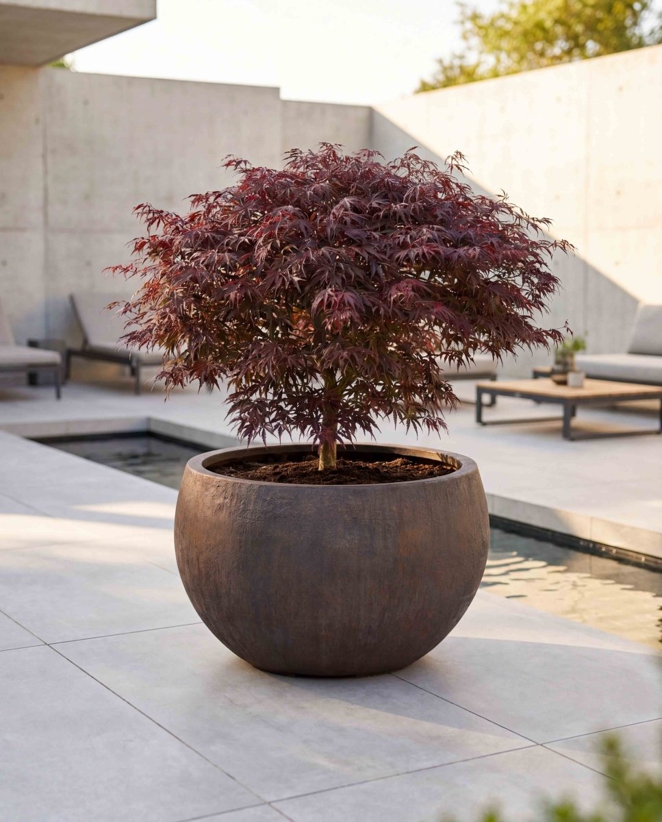 Grand Bowl | Antique Stone Collection | Bronze